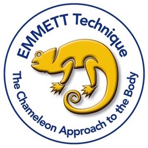 Emmett Technik